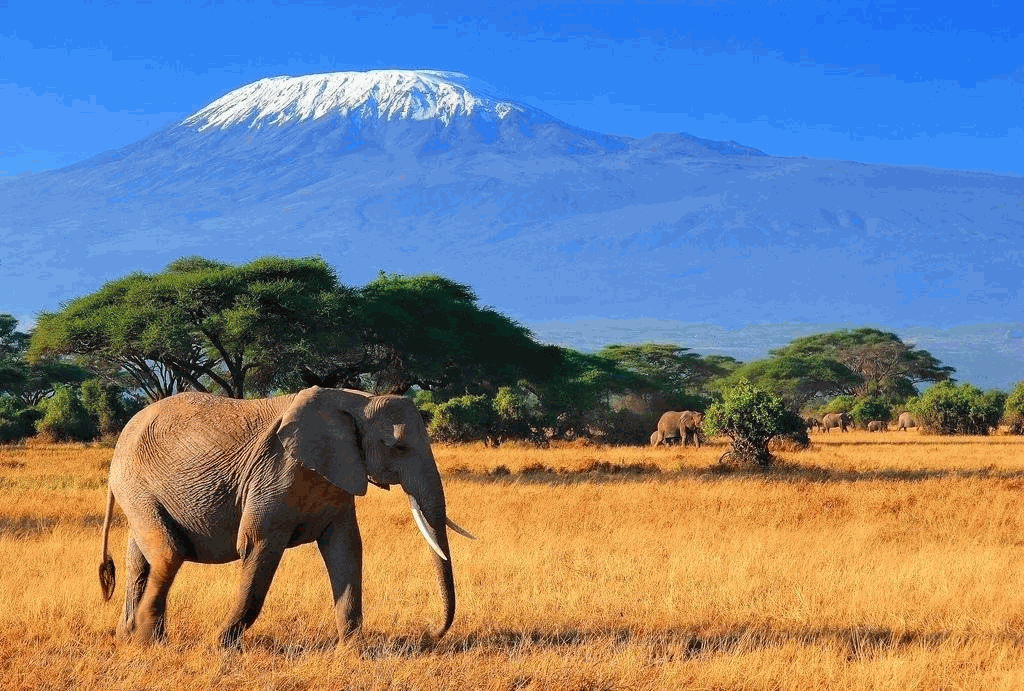 Natural Wonders