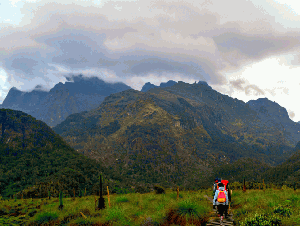 Rwenzori Mountains, Uganda