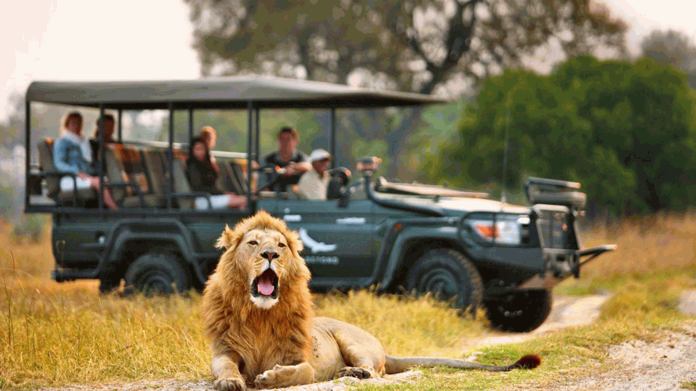 Travellers Out